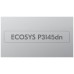 KYOCERA Impresora Laser Monocromo ECOSYS P3145dn (Tasa Weee incluida) DESCATALOGADA en Huesoi