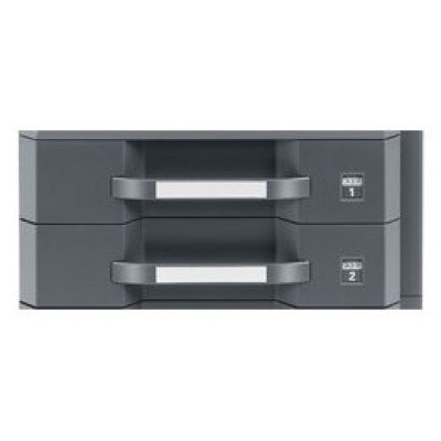 KYOCERA Deposito PF810 en Huesoi