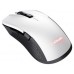 MOUSE TRUST GAMING WIRELESS RGB GXT 923W YBAR RGB en Huesoi