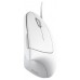 RATON OPTICO ERGONOMICO VERTICAL VERTO BLANCO TRUST (Espera 4 dias) en Huesoi
