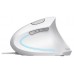 RATON OPTICO ERGONOMICO VERTICAL VERTO BLANCO TRUST (Espera 4 dias) en Huesoi