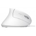 RATON OPTICO ERGONOMICO VERTICAL VERTO BLANCO TRUST (Espera 4 dias) en Huesoi