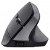 MOUSE TRUST WIRELESS ERGO BAYOII+ 25146 en Huesoi