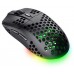 RATON TRUST GXT 929 HELOX BK en Huesoi