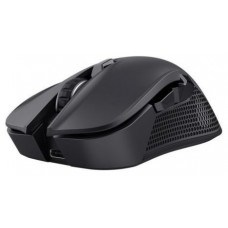 RATON TRUST GXT 931 YBAR BK en Huesoi