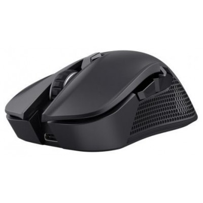 RATON TRUST GXT 931 YBAR BK en Huesoi