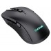 RATON TRUST GXT 931 YBAR BK en Huesoi