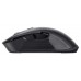 RATON TRUST GXT 931 YBAR BK en Huesoi