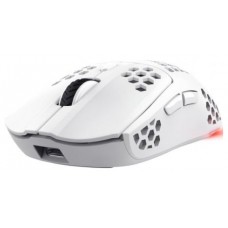 RATON TRUST GXT 929 HELOX WH en Huesoi