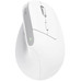 MOUSE TRUST WIRELESS ERGO BAYOII+ 25399 en Huesoi