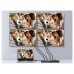 SPLITTER HDMI 2.0 ULTRASLIM 4 PUERTOS EQUIP en Huesoi