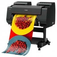 CANON impresora gran formato PRO-2100 EUR (Incluido SD-21) en Huesoi