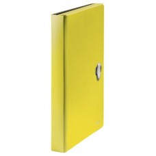 CARPETA POLIPROPILENO ACORDEON 5 POSICIONES+BOLSILLO FRONTAL BROCHE GIRATORIO A4 RECYCLE AMARILLO LEITZ 46240015 (Espera 4 dias) en Huesoi