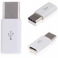 Adaptador USB 3.1 Tipo C Macho a MicroUSB 5 Pines Hembra (Espera 2 dias) en Huesoi