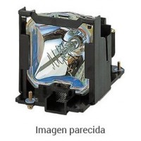 BENQ PROYECTOR ACCESORIOS  (5J.JNL05.001) LAMP MODULE TK70 (Espera 4 dias) en Huesoi