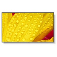 NEC MultiSync M551-2 Diseño de quiosco 127 cm (50") LED 4K Ultra HD Negro Procesador incorporado (Espera 4 dias) en Huesoi