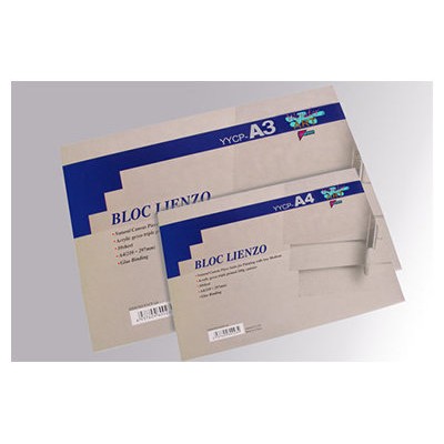 Pryse 6230072 papel decorativo Bloc de hojas de papel para bellas artes 10 hojas (Espera 4 dias) en Huesoi