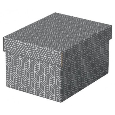 PACK 3 CAJAS GRISES 255X200X150MM ESSELTE 628281 (Espera 4 dias) en Huesoi