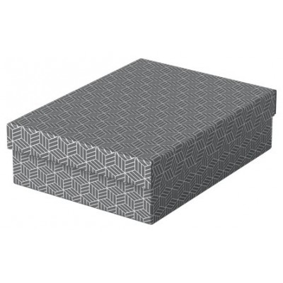 PACK 3 CAJAS GRISES 360X265X100MM ESSELTE 628285 (Espera 4 dias) en Huesoi