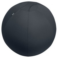 Leitz Active Sitzball 55cm Gris Interior Esférico (Espera 4 dias) en Huesoi