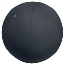 Leitz Active Sitzball 55cm Gris Interior Esférico (Espera 4 dias) en Huesoi