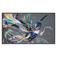 MONITOR PHILIPS 65" Q-LINE / PANEL IPS D-LED 16:9 / 3840X2160 400CD/M2 / 9MS / PIXEL PITCH 0.372X0.372 / VESA 400X400/M8 / SOC MS - 92Q / USO LANDSCAPE / PORTRAIT 18/7 / OPS NO / WIFI NO / 1XRJ45 (65BDL3511Q/00) (Espera 4 dias) en Huesoi