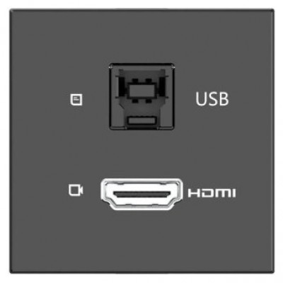 KRAMER ROOM CONNECTIVITY PASSIVE BLACK MODULE WITH 1 HDMI PORT + 1 USBB PORT INPUT.- MD-H+B/AF(B) (80-000358) (Espera 4 dias) en Huesoi KRAMER ROOM CONNECTIVITY PASSIVE BLACK MODULE WITH 1 HDMI PORT + 1 USBB PORT INPUT.- MD-H+B/AF(B) (80-000358) (Espera 4 dias) en Huesoi