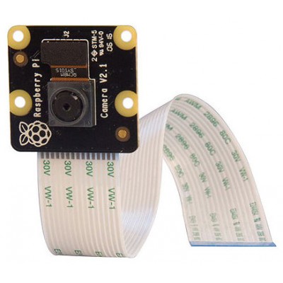 Raspberry Pi PiNoir Camera Module V2.1 Cámara Multicolor (Espera 4 dias) en Huesoi