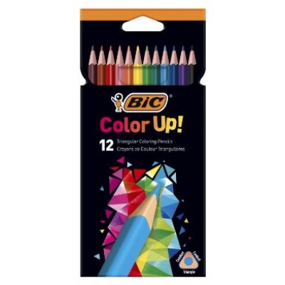 ESTUCHE 12 LAPICEROS INTENSITY UP COLORES SURTIDOS BIC 9505273 (Espera 4 dias) en Huesoi