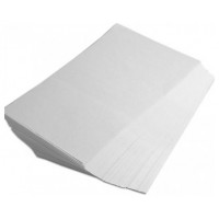 RICOH Papel Transfer Film Dlux DINA3 50 hojas en Huesoi