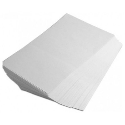 RICOH Papel Transfer Film Dlux DINA3 250 hojas en Huesoi