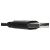 AURICULARES STEREO TARGUS ALAMBRICO NEGRO en Huesoi