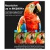 ADAPTADOR VENTION AIUH0 en Huesoi
