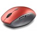RATON NGS BEE RED en Huesoi