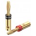 ADAPTADOR VENTION BFDJ0-2 en Huesoi