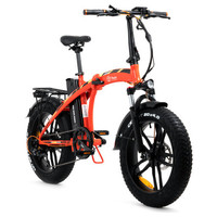 Youin You-Ride Dubai Naranja 50,8 cm (20") 34 kg (Espera 4 dias) en Huesoi Youin You-Ride Dubai Naranja 50,8 cm (20") 34 kg (Espera 4 dias) en Huesoi