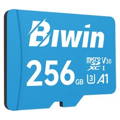 Biwin MS100 microSDXC UHS-1 256GB C10 U3 V30 A1 en Huesoi