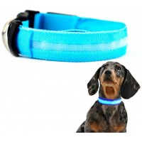 Collar Mascotas LED Biwond Talla M Azul (Espera 2 dias) en Huesoi