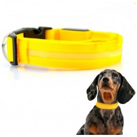 Collar Mascotas LED Biwond Talla L Amarillo (Espera 2 dias) en Huesoi