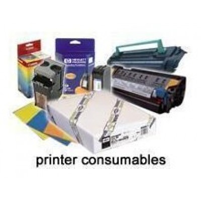 Epson GF Papel Premium Glossy Photo, Rollo de 44" x 30,5m. - 260g/m2 en Huesoi