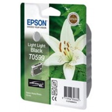 Epson Stylus Photo R-2400 Cartucho Gris Claro     DESCATALOGADO en Huesoi
