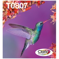 EPSON T080 Hummingbird multipack in Easy Mail packaging en Huesoi