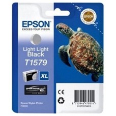 Epson Stylus Photo R3000 Cartucho Gris Claro en Huesoi