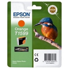 Epson Stylus Photo R2000 Cartucho Naranja en Huesoi