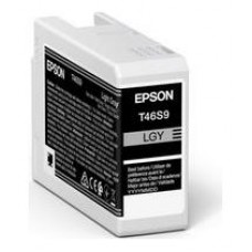 EPSON  Singlepack Light Gray T46S9 UltraChrome Pro 10 ink 25ml SC-P700 en Huesoi