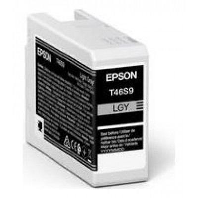 EPSON  Singlepack Light Gray T46S9 UltraChrome Pro 10 ink 25ml SC-P700 en Huesoi