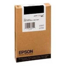 Epson GF Stylus Pro 7880/9880 Cartucho Negro Photo en Huesoi