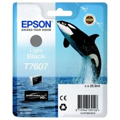 EPSON SURECOLOR SC-P600 Cartucho gris en Huesoi