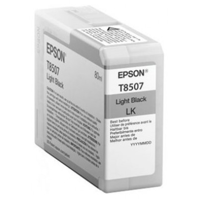 EPSON SureColor SC-P800 Cartucho Negro claro en Huesoi