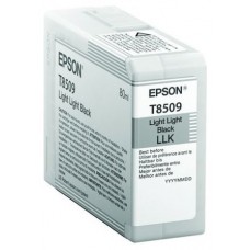 EPSON SureColor SC-P800 Cartucho Negro Light Light en Huesoi